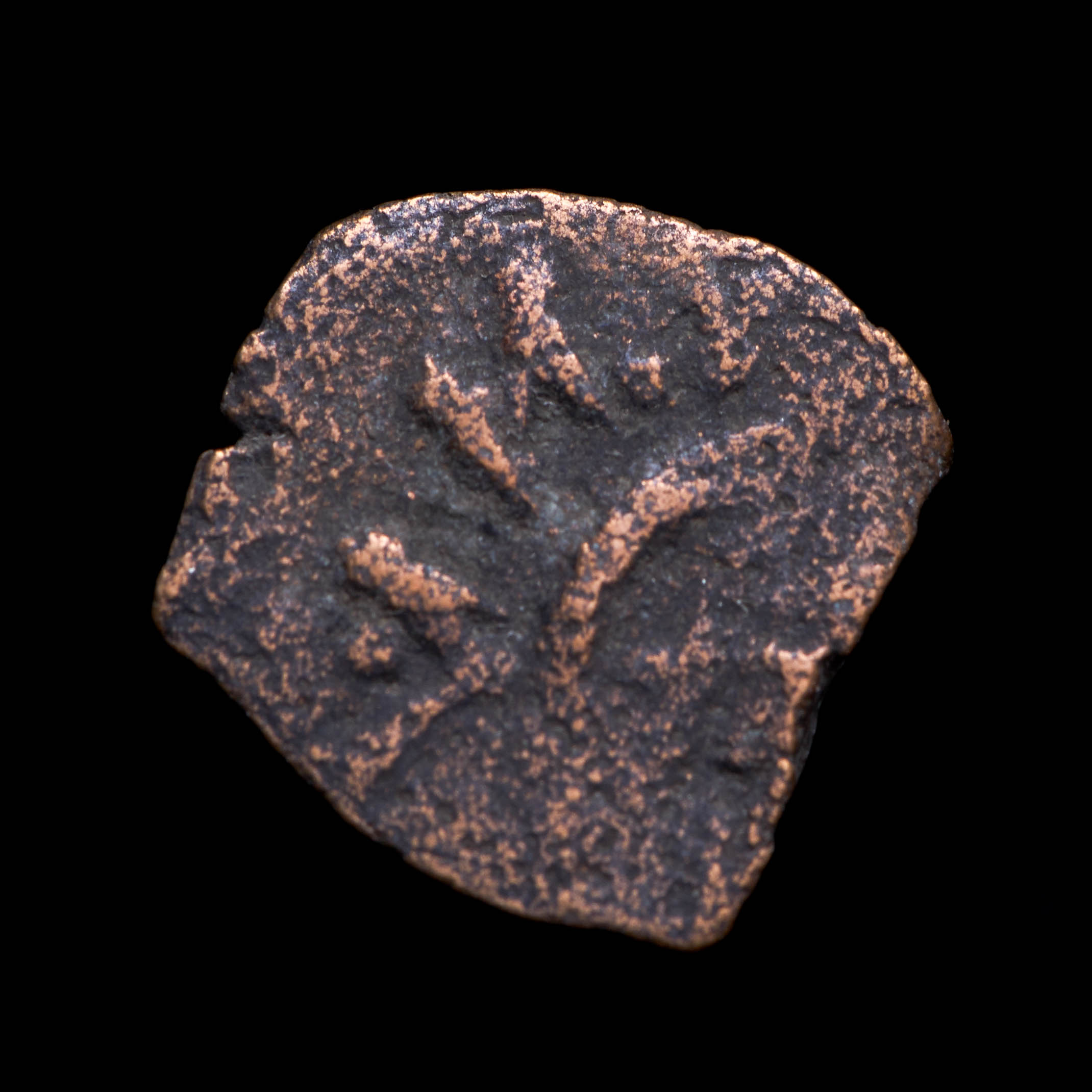 "Widow's Mite" Rare Biblical 2000 Year Old Coin From The Holy Land at PristineAuction.com "Widow's Mite" Rare Biblical 2000 Year Old Coin From The Holy Land at PristineAuction.com