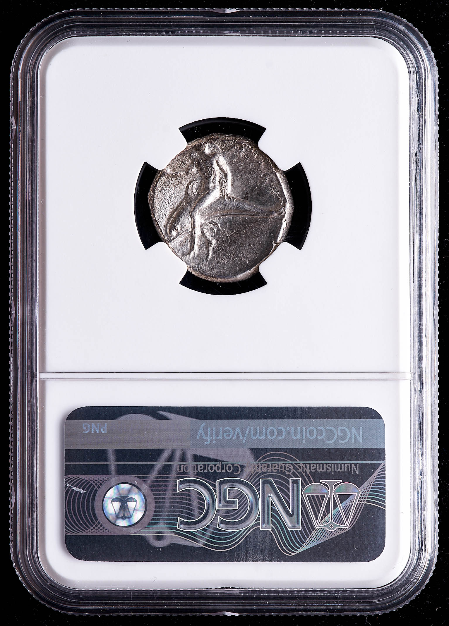 Calabria, Taras circa Early 3rd Century B.C. AR Didrachm Ancient Greek Silver Coin (NGC F) at PristineAuction.com Calabria, Taras circa Early 3rd Century B.C. AR Didrachm Ancient Greek Silver Coin (NGC F) at PristineAuction.com