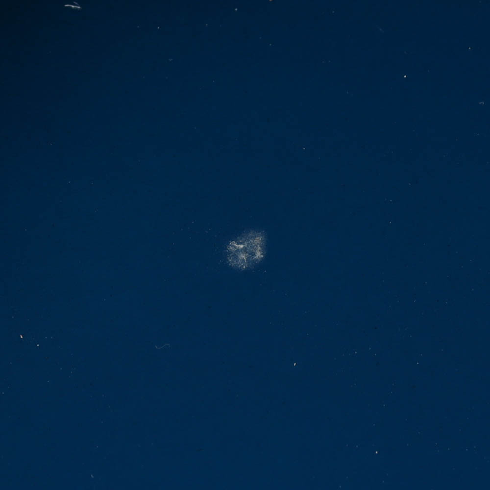 Lionel Richie Signed 38" Acoustic Guitar (Beckett COA) (See Description) at PristineAuction.com Lionel Richie Signed 38" Acoustic Guitar (Beckett COA) (See Description) at PristineAuction.com