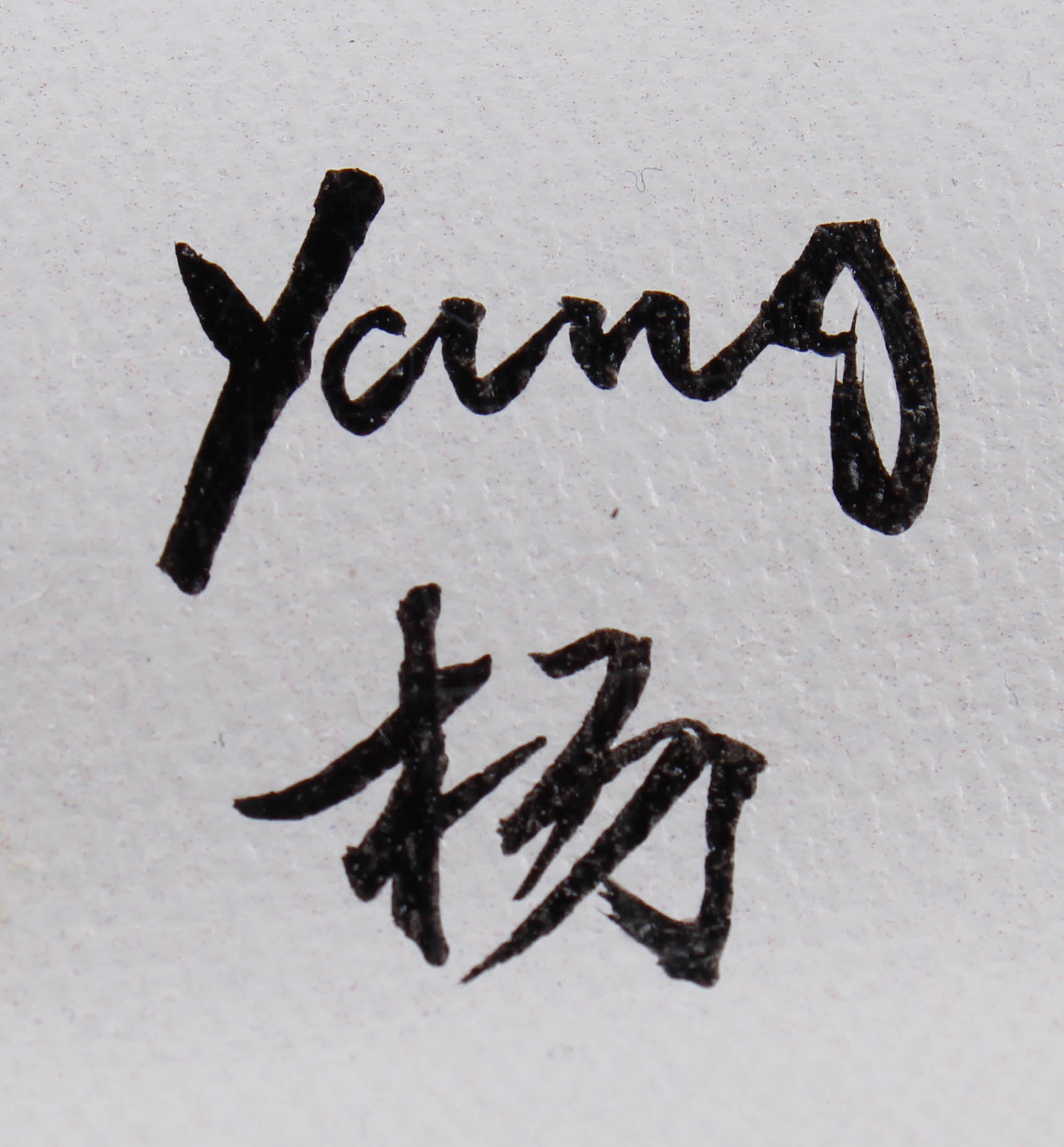 Rodney Weng Signed “Gentle Giant” 25.75x36.5 Original Oil Panting on Linen (PA LOA) at PristineAuction.com Rodney Weng Signed “Gentle Giant” 25.75x36.5 Original Oil Panting on Linen (PA LOA) at PristineAuction.com