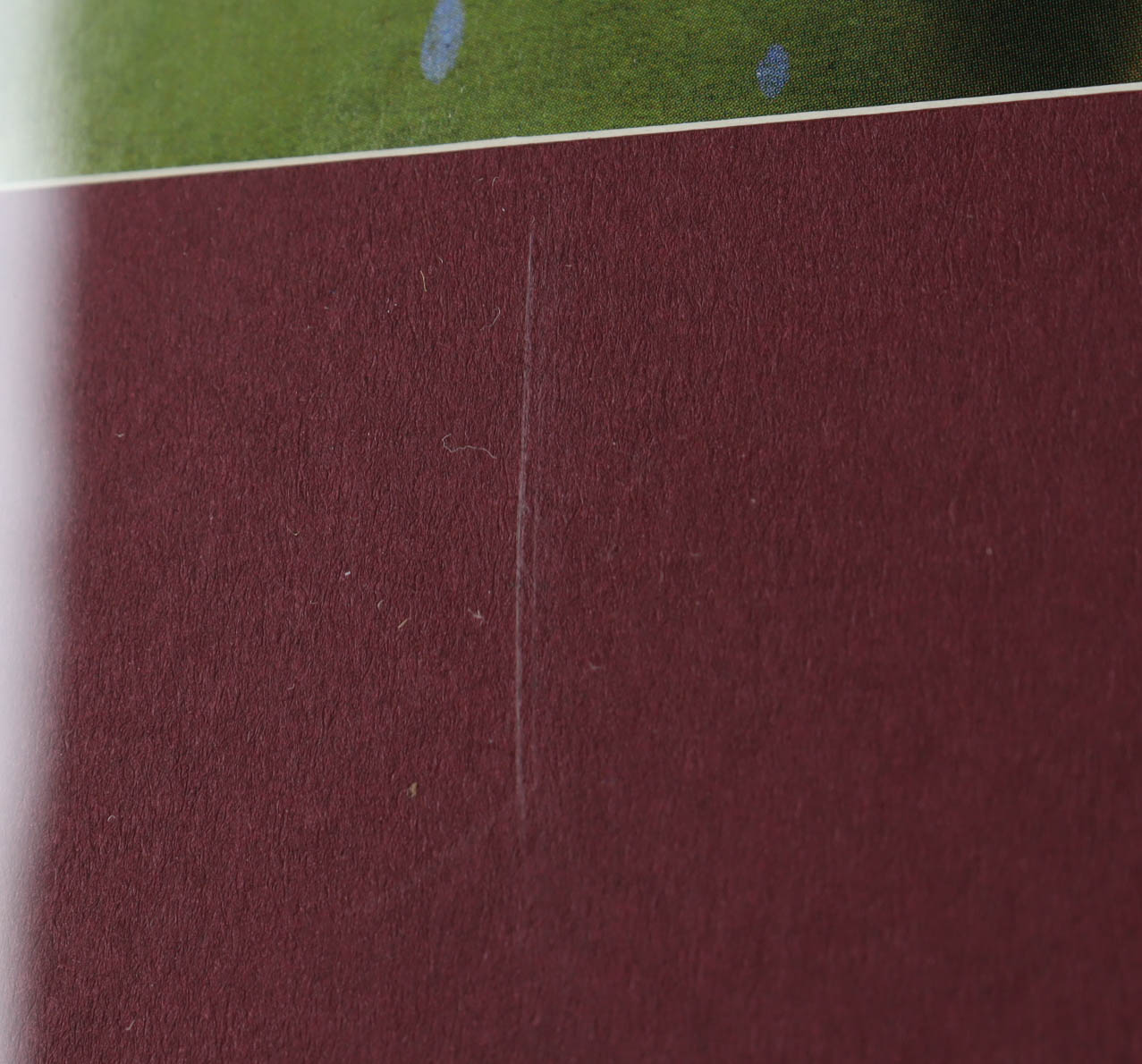 "Space Jam" 16x25 Custom Framed Print Display with Pre-Movie Release Theater Pin (See Description) at PristineAuction.com "Space Jam" 16x25 Custom Framed Print Display with Pre-Movie Release Theater Pin (See Description) at PristineAuction.com