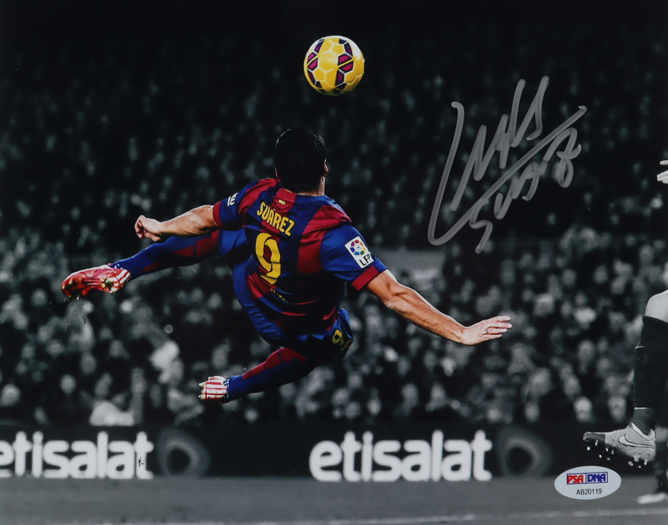 Luis Suarez Signed FC Barcelona 8x10 Photo (PSA COA) at PristineAuction.com Luis Suarez Signed FC Barcelona 8x10 Photo (PSA COA) at PristineAuction.com
