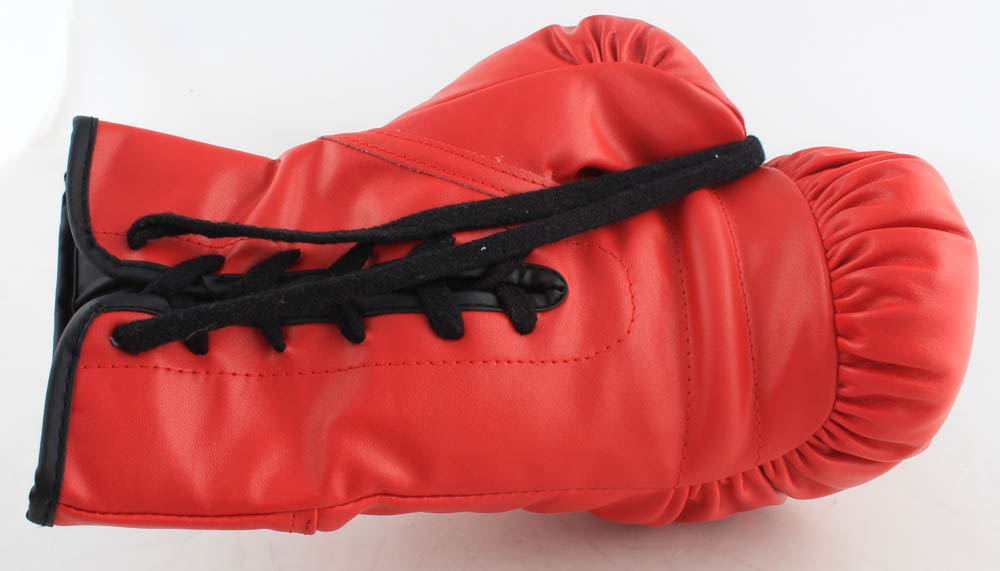 Erik Morales Signed Everlast Boxing Glove (JSA COA) at PristineAuction.com Erik Morales Signed Everlast Boxing Glove (JSA COA) at PristineAuction.com