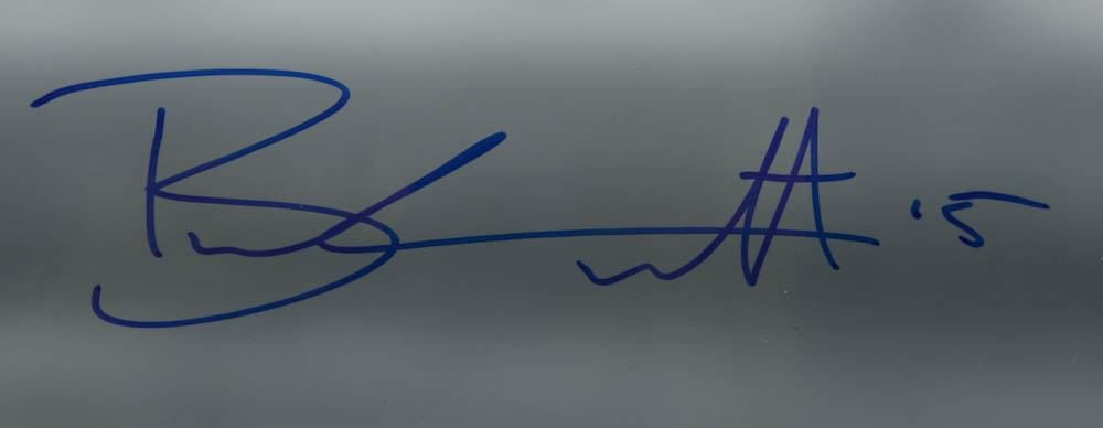 Brandon Marshall Signed Bears 16x20 Photo (JSA COA) at PristineAuction.com Brandon Marshall Signed Bears 16x20 Photo (JSA COA) at PristineAuction.com