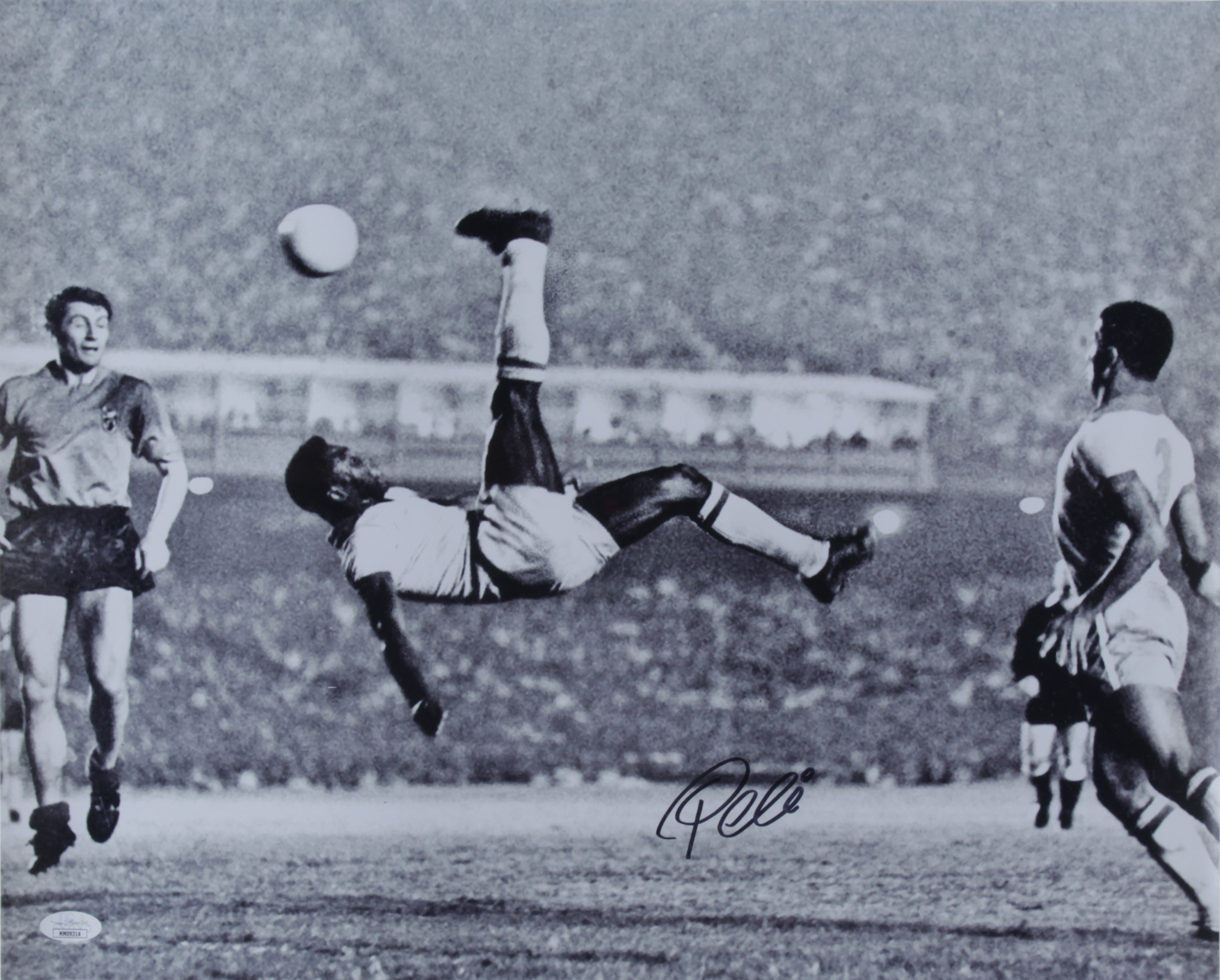 Pele Signed Team Brazil 16x20 Photo (JSA COA) at PristineAuction.com Pele Signed Team Brazil 16x20 Photo (JSA COA) at PristineAuction.com