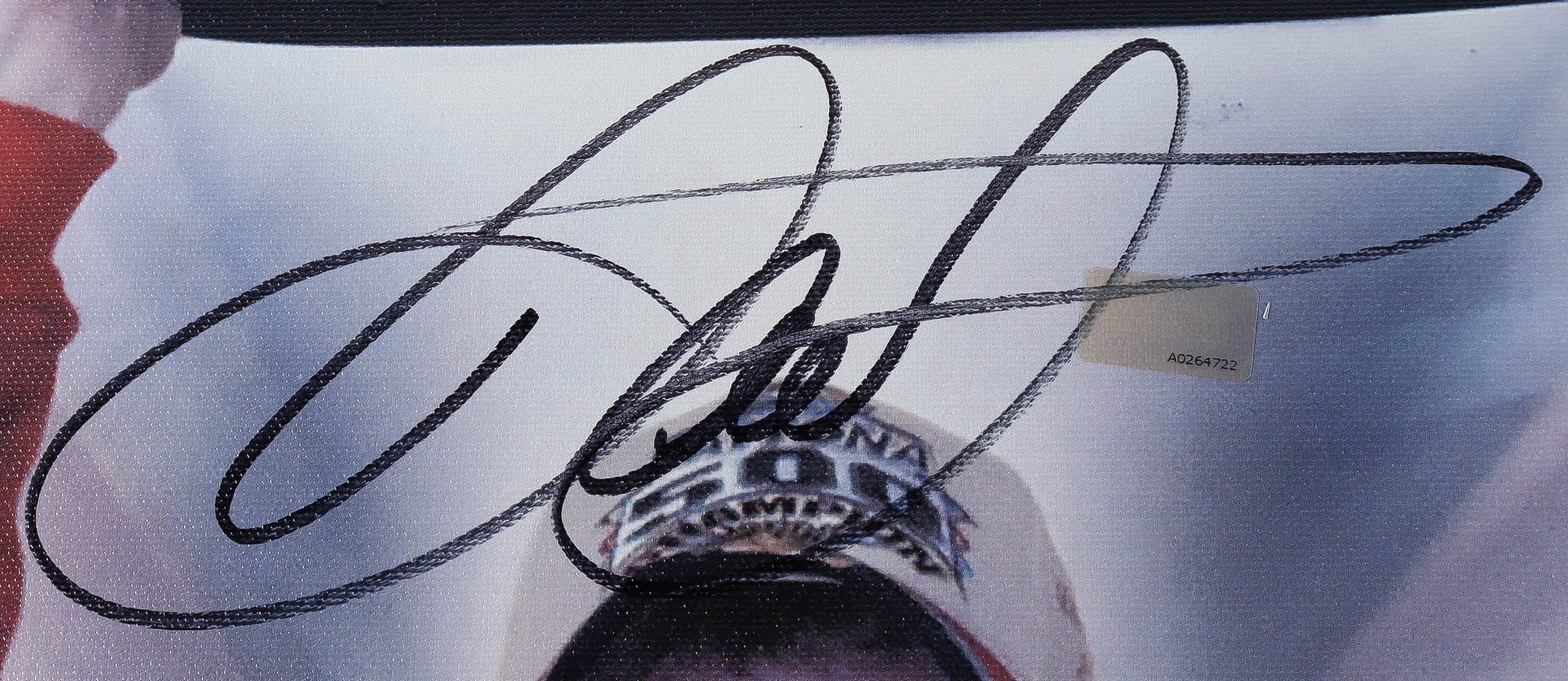 Dale Earnhardt Jr. Signed 23x30 NASCAR 2005 Daytona 500 Photo on Canvas (Dale Jr. Hologram & COA) at PristineAuction.com Dale Earnhardt Jr. Signed 23x30 NASCAR 2005 Daytona 500 Photo on Canvas (Dale Jr. Hologram & COA) at PristineAuction.com