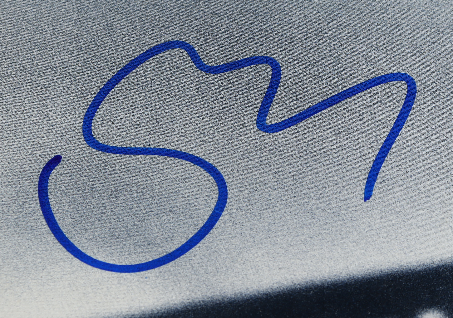 Sting Signed "The Dream of the Blue Turtles" Vinyl Record (Beckett Hologram) (See Description) at PristineAuction.com Sting Signed "The Dream of the Blue Turtles" Vinyl Record (Beckett Hologram) (See Description) at PristineAuction.com