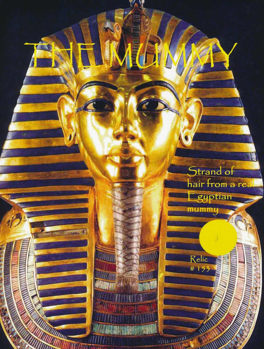 Egyptian Mummy Relic Photo with Authentic Strand of Hair at PristineAuction.com Egyptian Mummy Relic Photo with Authentic Strand of Hair at PristineAuction.com