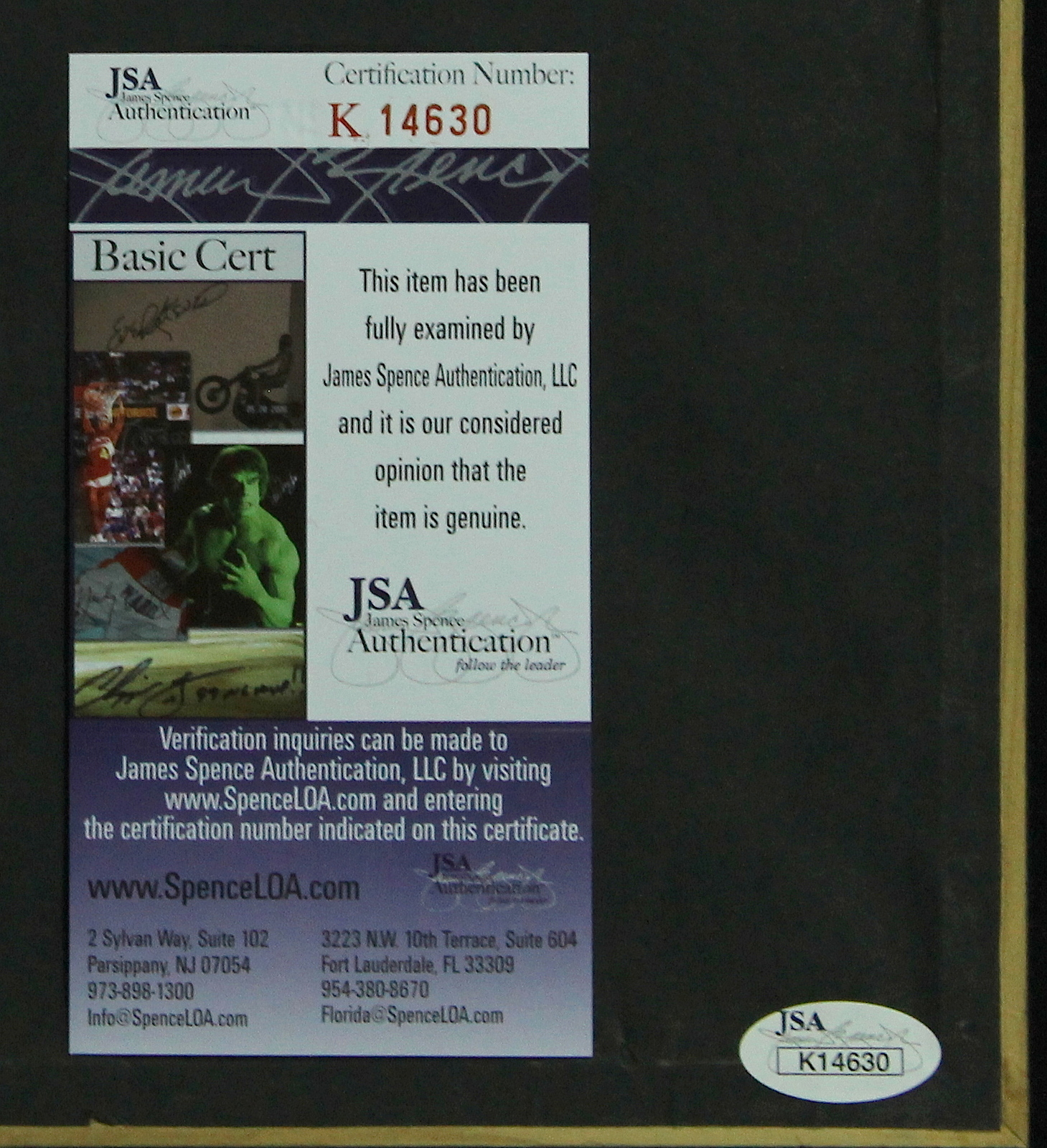 Frank Sutton & Jim Nabors Signed "The Andy Griffith Show" 12x20 Custom Framed Display (JSA COA) at PristineAuction.com Frank Sutton & Jim Nabors Signed "The Andy Griffith Show" 12x20 Custom Framed Display (JSA COA) at PristineAuction.com