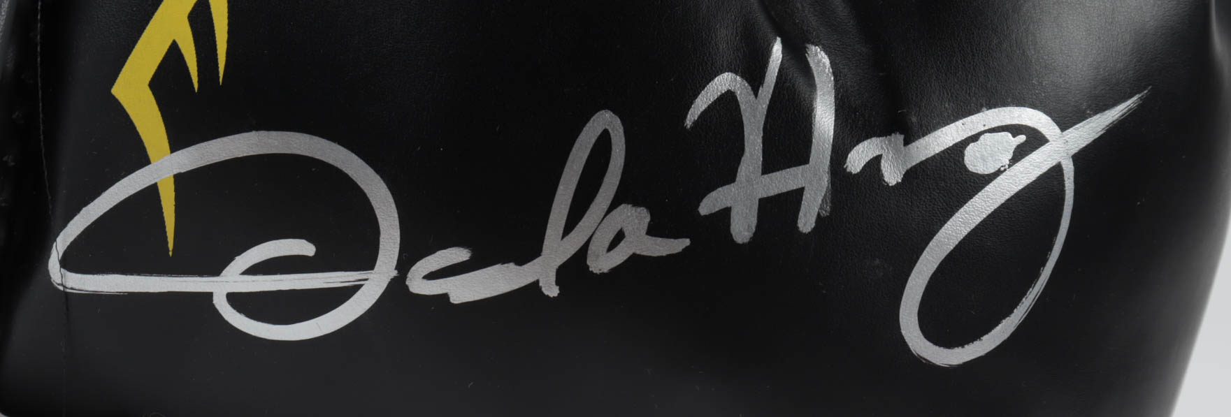 Oscar De La Hoya Signed Everlast Boxing Glove (PSA Hologram) at PristineAuction.com Oscar De La Hoya Signed Everlast Boxing Glove (PSA Hologram) at PristineAuction.com