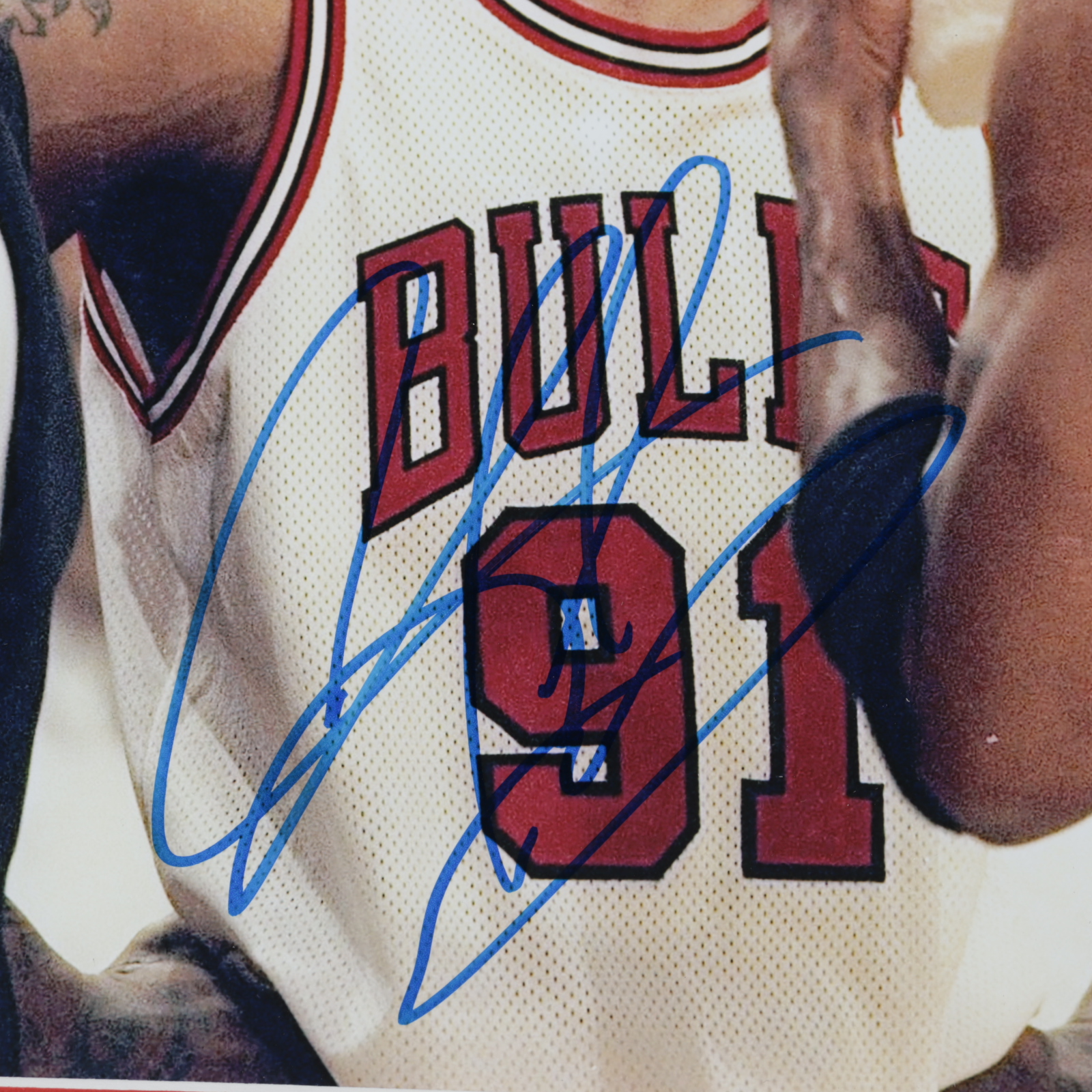 Dennis Rodman Signed Bulls 18x22 Custom Framed Photo Display (JSA COA & Fiterman Hologram) at PristineAuction.com Dennis Rodman Signed Bulls 18x22 Custom Framed Photo Display (JSA COA & Fiterman Hologram) at PristineAuction.com