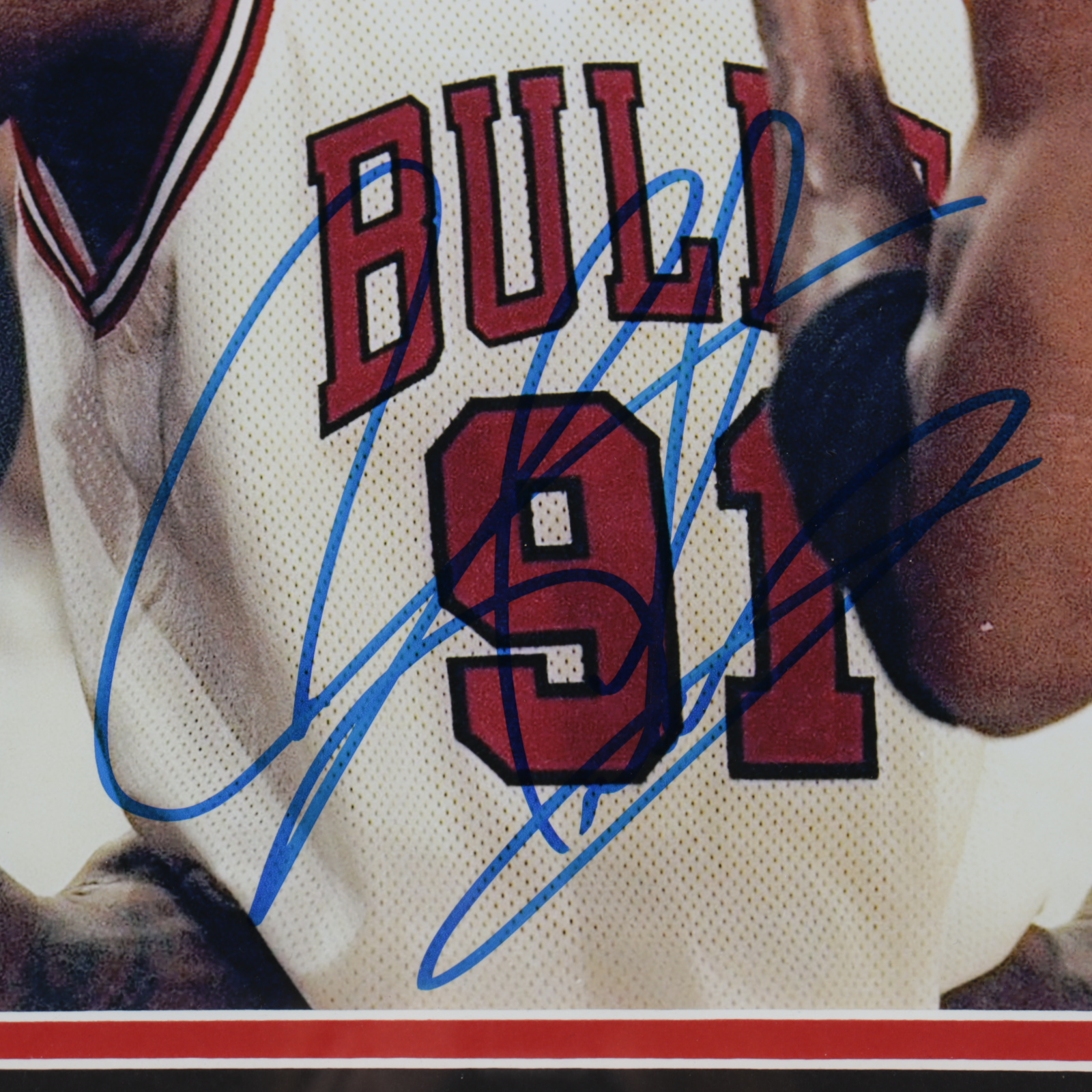Dennis Rodman Signed Bulls 18x22 Custom Framed Photo Display (JSA COA & Fiterman Hologram) (See Description) at PristineAuction.com Dennis Rodman Signed Bulls 18x22 Custom Framed Photo Display (JSA COA & Fiterman Hologram) (See Description) at PristineAuction.com