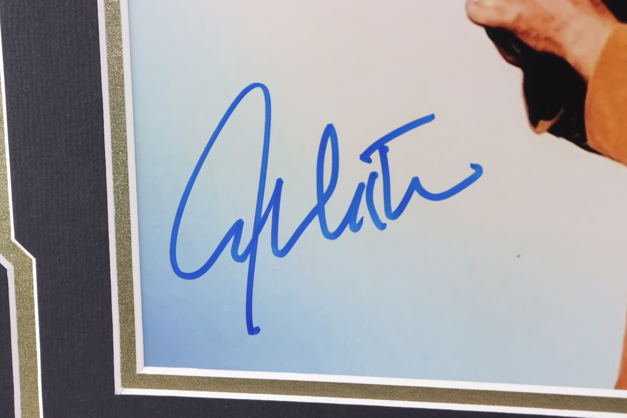 William Shatner Signed "Star Trek" 18x22 Custom Framed Photo Display (JSA COA) at PristineAuction.com William Shatner Signed "Star Trek" 18x22 Custom Framed Photo Display (JSA COA) at PristineAuction.com