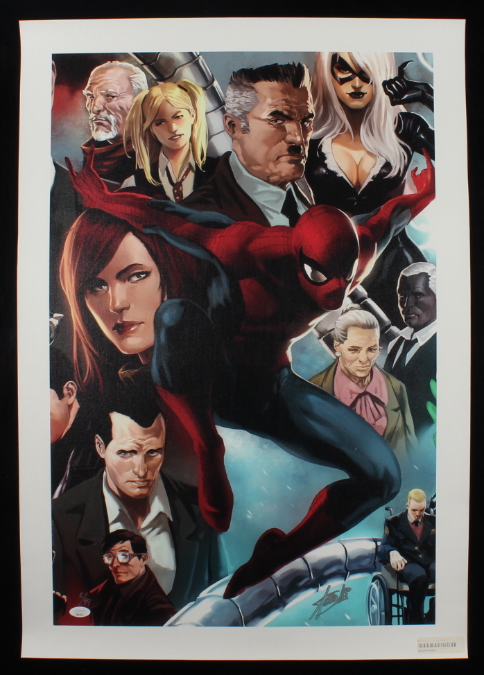 Stan Lee Signed "Amazing Spider-Man #645" Limited Edition 18x27 Giclee on Canvas by Marko Djurdjevic and Marvel Comics (JSA COA) at PristineAuction.com Stan Lee Signed "Amazing Spider-Man #645" Limited Edition 18x27 Giclee on Canvas by Marko Djurdjevic and Marvel Comics (JSA COA) at PristineAuction.com