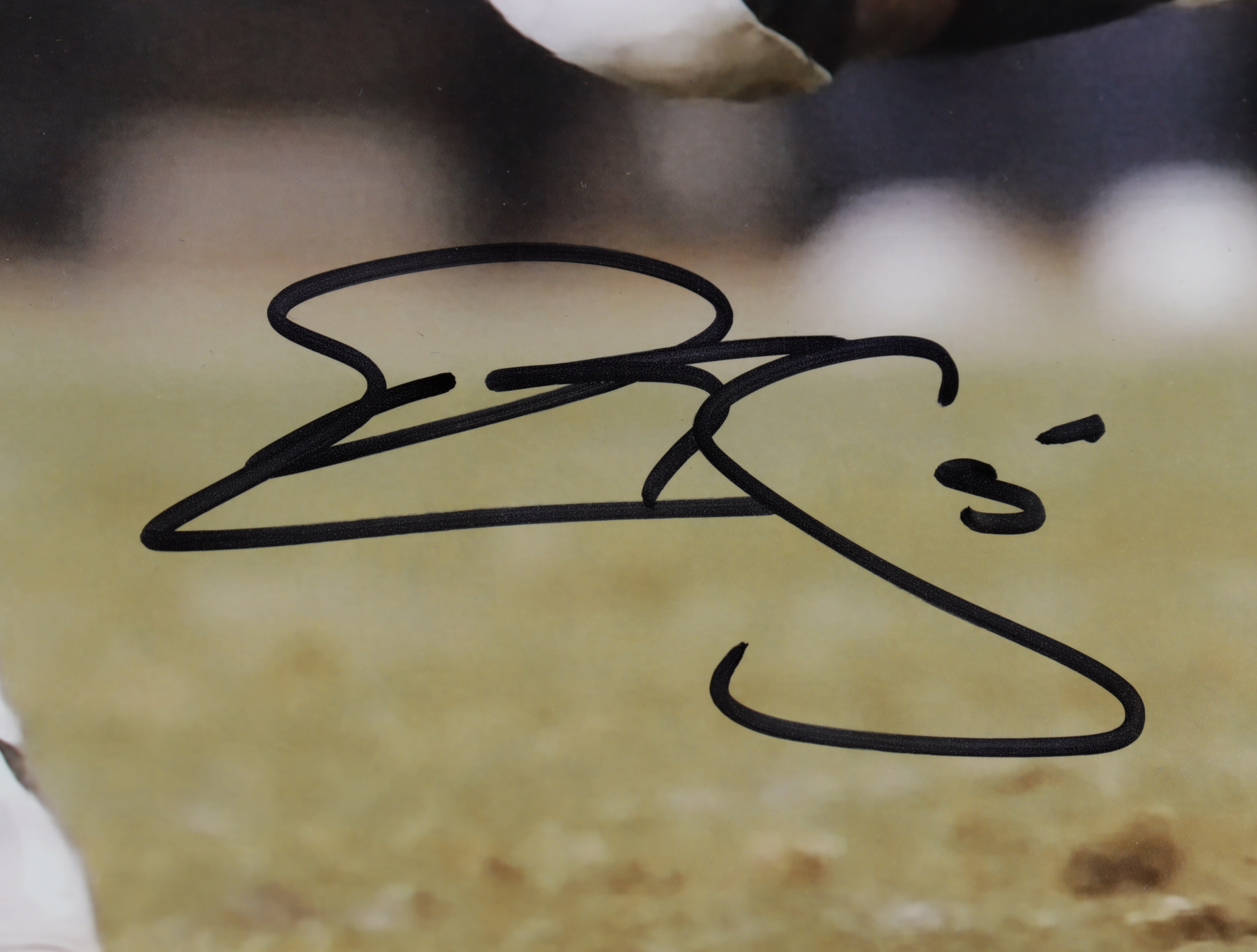 Donovan McNabb Signed Eagles 16x20 Photo (Beckett COA) at PristineAuction.com Donovan McNabb Signed Eagles 16x20 Photo (Beckett COA) at PristineAuction.com