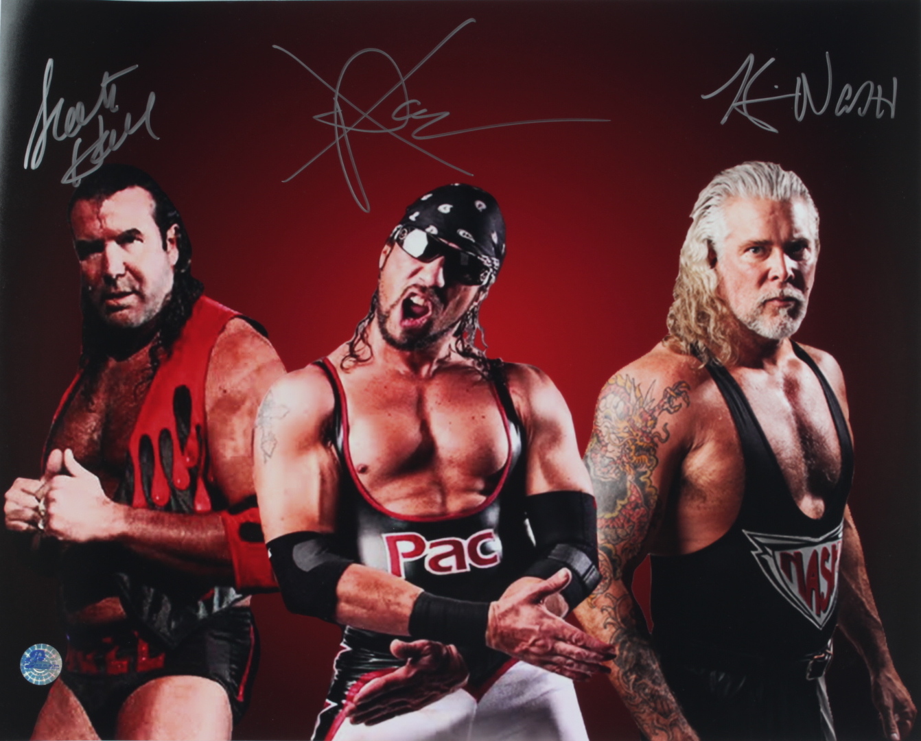 Kevin Nash, Scott Hall, & X-Pac Signed WWE 16x20 Photo (Pro Player Hologram) at PristineAuction.com Kevin Nash, Scott Hall, & X-Pac Signed WWE 16x20 Photo (Pro Player Hologram) at PristineAuction.com
