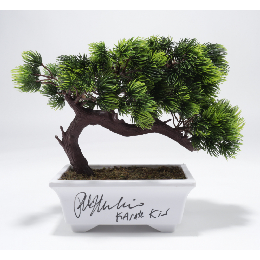 Ralph Macchio Signed "The Karate Kid" Bonsai Tree Replica Inscribed "Karate Kid" (JSA COA) (See