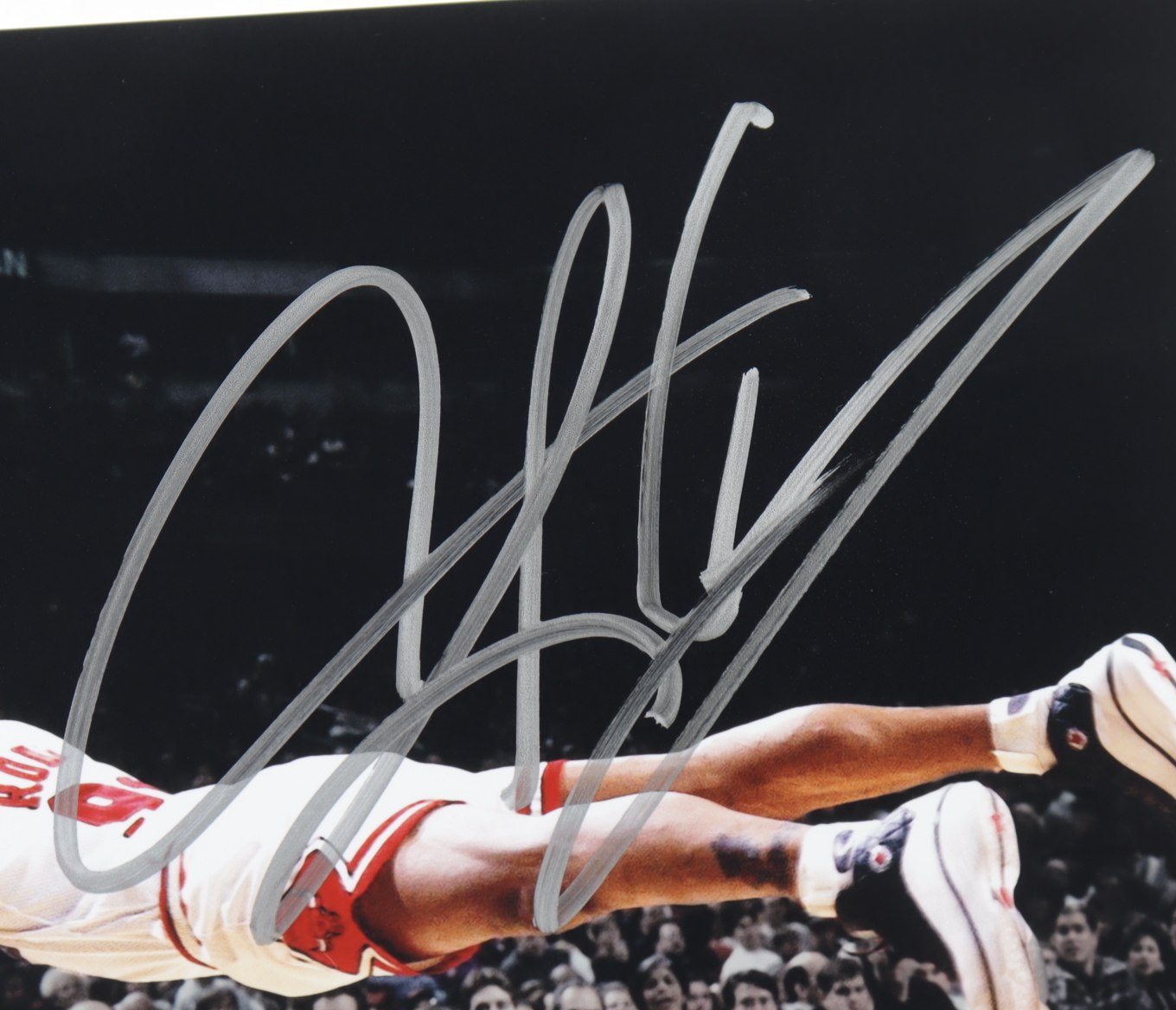 Dennis Rodman Signed Bulls 8x10 Photo (Beckett COA) at PristineAuction.com Dennis Rodman Signed Bulls 8x10 Photo (Beckett COA) at PristineAuction.com
