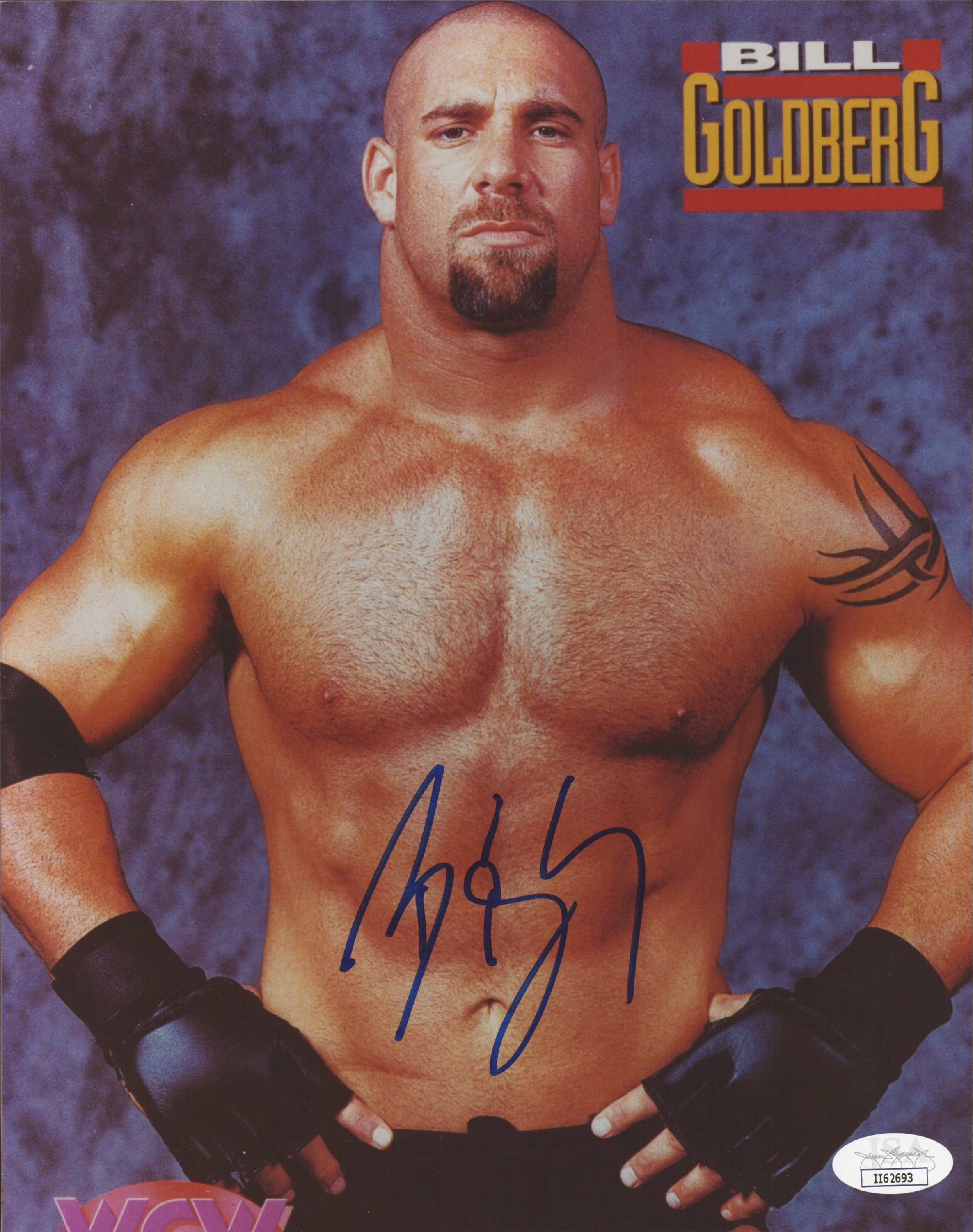 Bill Goldberg Signed 8x10 Photo (JSA COA) at PristineAuction.com Bill Goldberg Signed 8x10 Photo (JSA COA) at PristineAuction.com