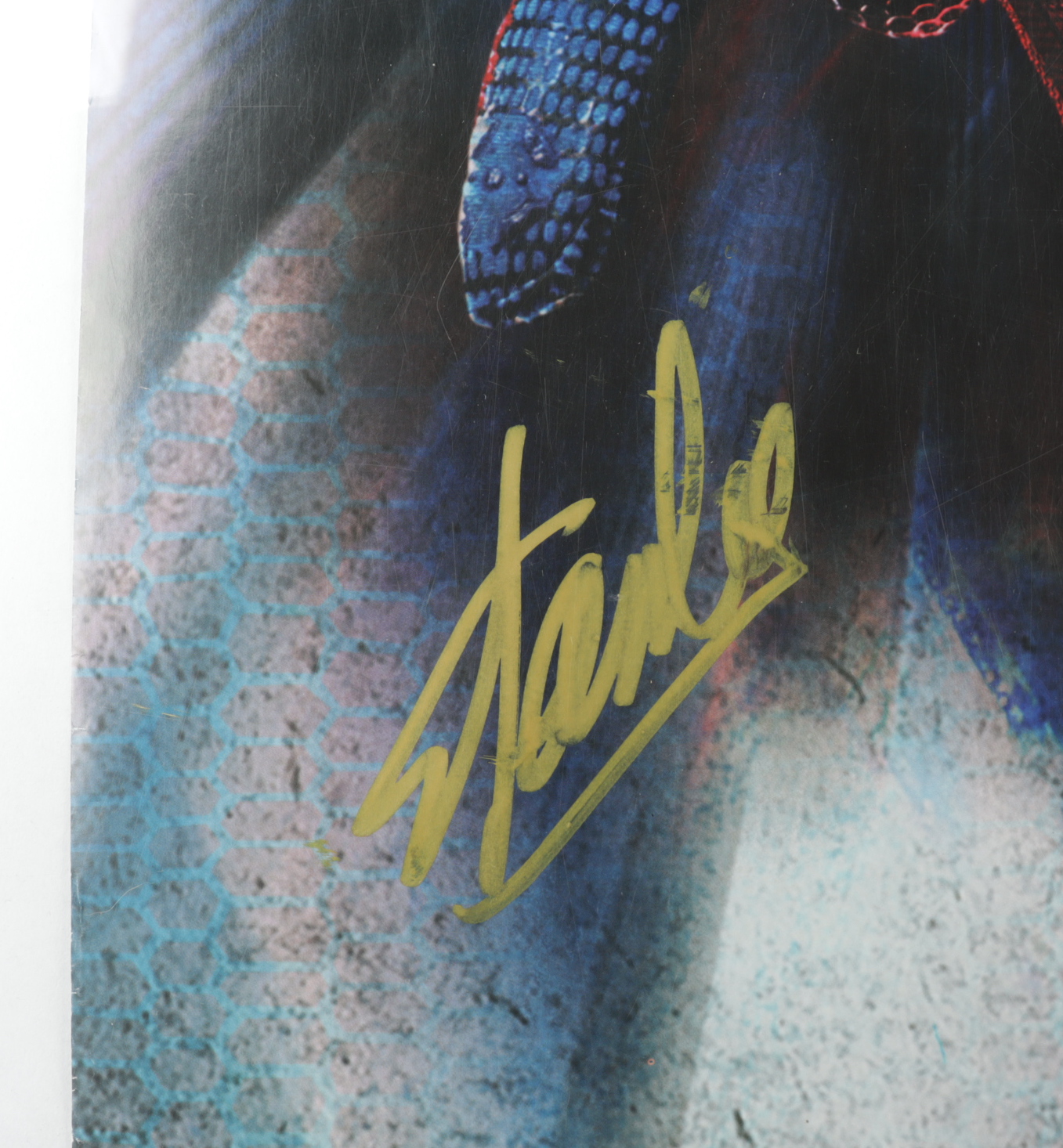 Stan Lee Signed "The Amazing Spider-Man" 22.5x34 Movie Poster (PSA Hologram & Beckett COA) (See Description) at PristineAuction.com Stan Lee Signed "The Amazing Spider-Man" 22.5x34 Movie Poster (PSA Hologram & Beckett COA) (See Description) at PristineAuction.com