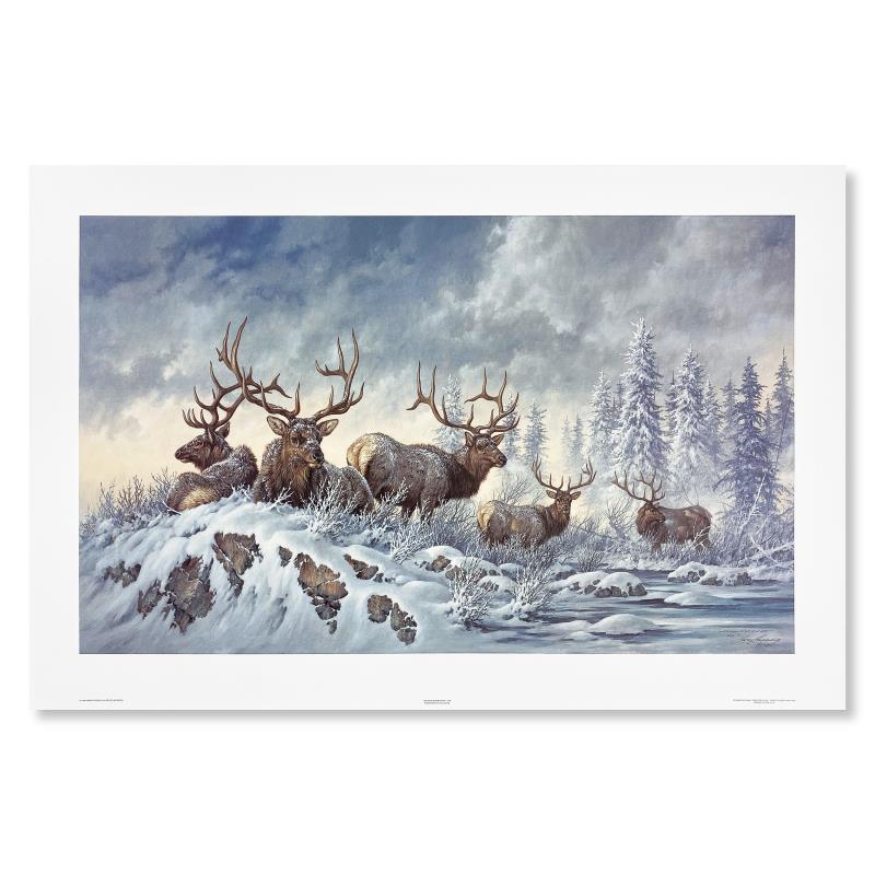 "Solstice Rendezvous (Elk)" LE 32x20 Lithograph by Larry Fanning (Artova) at PristineAuction.com "Solstice Rendezvous (Elk)" LE 32x20 Lithograph by Larry Fanning (Artova) at PristineAuction.com