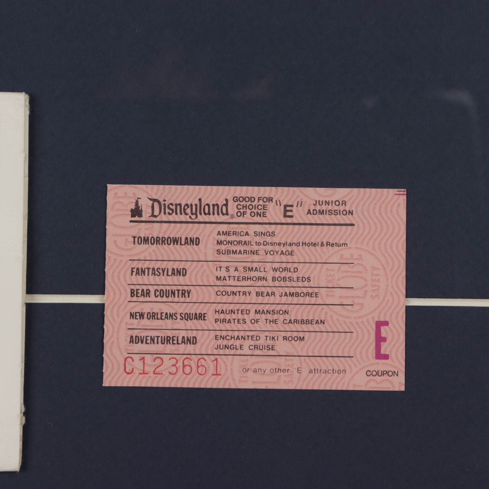 Walt Disney's Disneyland Enchanted Tiki Room 14x26 Custom Framed Print Display with (1) Vintage Ticket Booklet & (1) Photo Portfolio (See Description) at PristineAuction.com Walt Disney's Disneyland Enchanted Tiki Room 14x26 Custom Framed Print Display with (1) Vintage Ticket Booklet & (1) Photo Portfolio (See Description) at PristineAuction.com