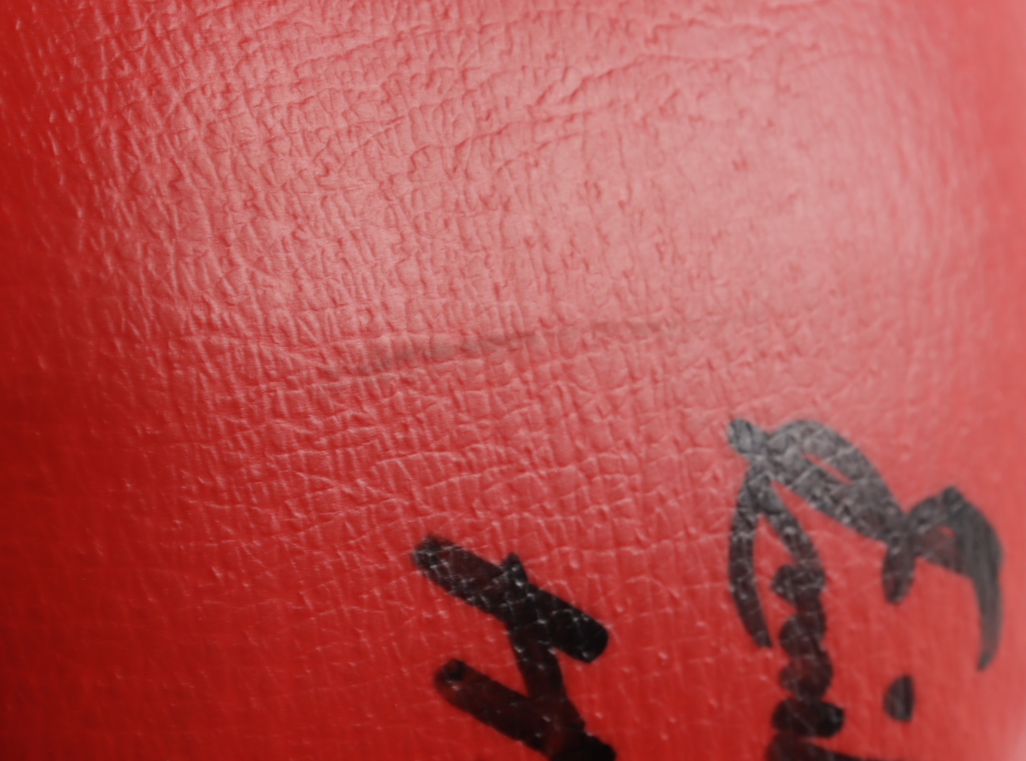 Emile Griffith Signed Everlast Boxing Glove Inscribed "Hall of Fame" (Beckett COA) (See Description) at PristineAuction.com Emile Griffith Signed Everlast Boxing Glove Inscribed "Hall of Fame" (Beckett COA) (See Description) at PristineAuction.com