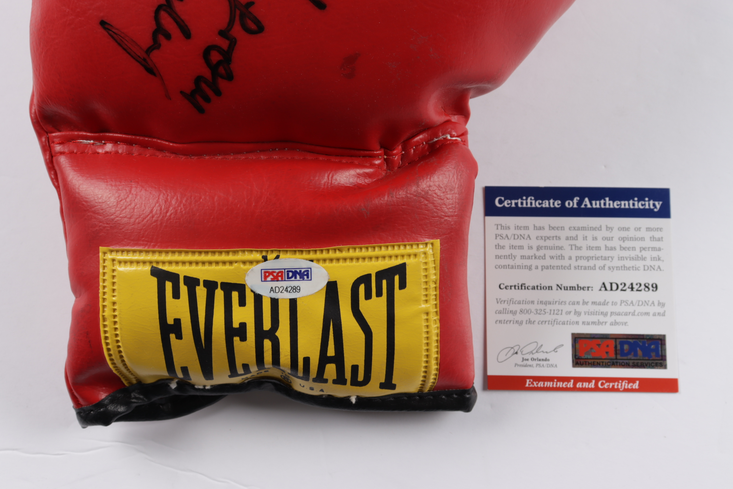 Max Schmeling Signed Everlast Boxing Glove Iscribed "All Good Wishes From" & "1990" (PSA COA) at PristineAuction.com Max Schmeling Signed Everlast Boxing Glove Iscribed "All Good Wishes From" & "1990" (PSA COA) at PristineAuction.com