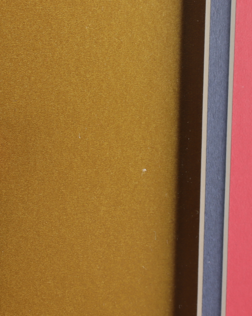 LeBron James 32x36 Custom Framed Jersey Display at PristineAuction.com LeBron James 32x36 Custom Framed Jersey Display at PristineAuction.com