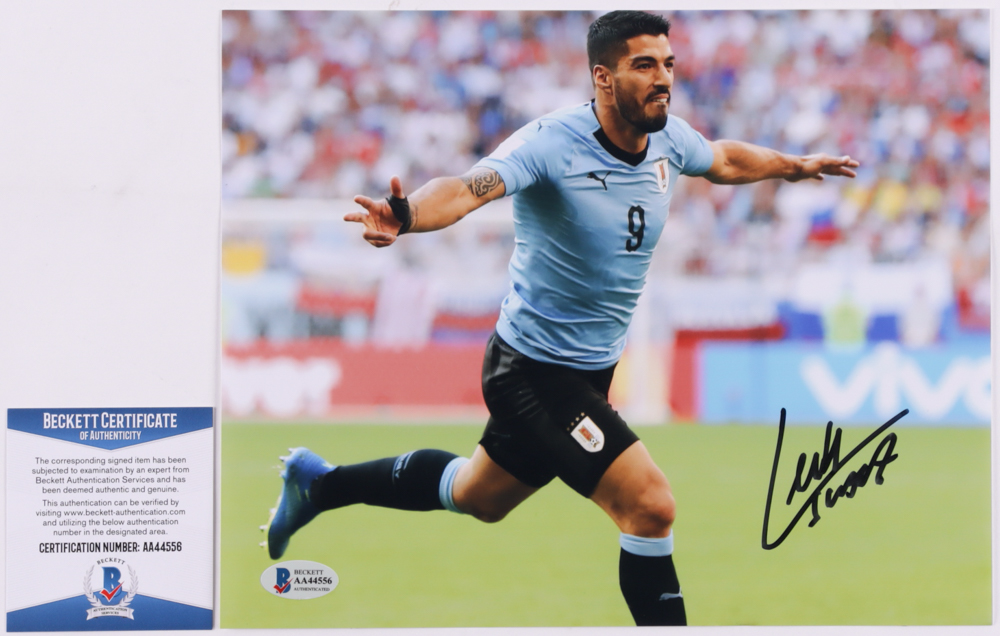 Luis Suarez Signed Team Uruguay 8x10 Photo (Beckett COA) at PristineAuction.com Luis Suarez Signed Team Uruguay 8x10 Photo (Beckett COA) at PristineAuction.com