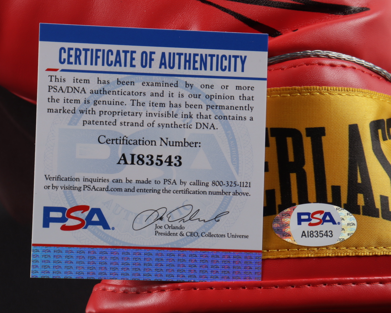 Mike Tyson Signed 16x30 Custom Framed Boxing Glove Display (PSA COA) at PristineAuction.com Mike Tyson Signed 16x30 Custom Framed Boxing Glove Display (PSA COA) at PristineAuction.com