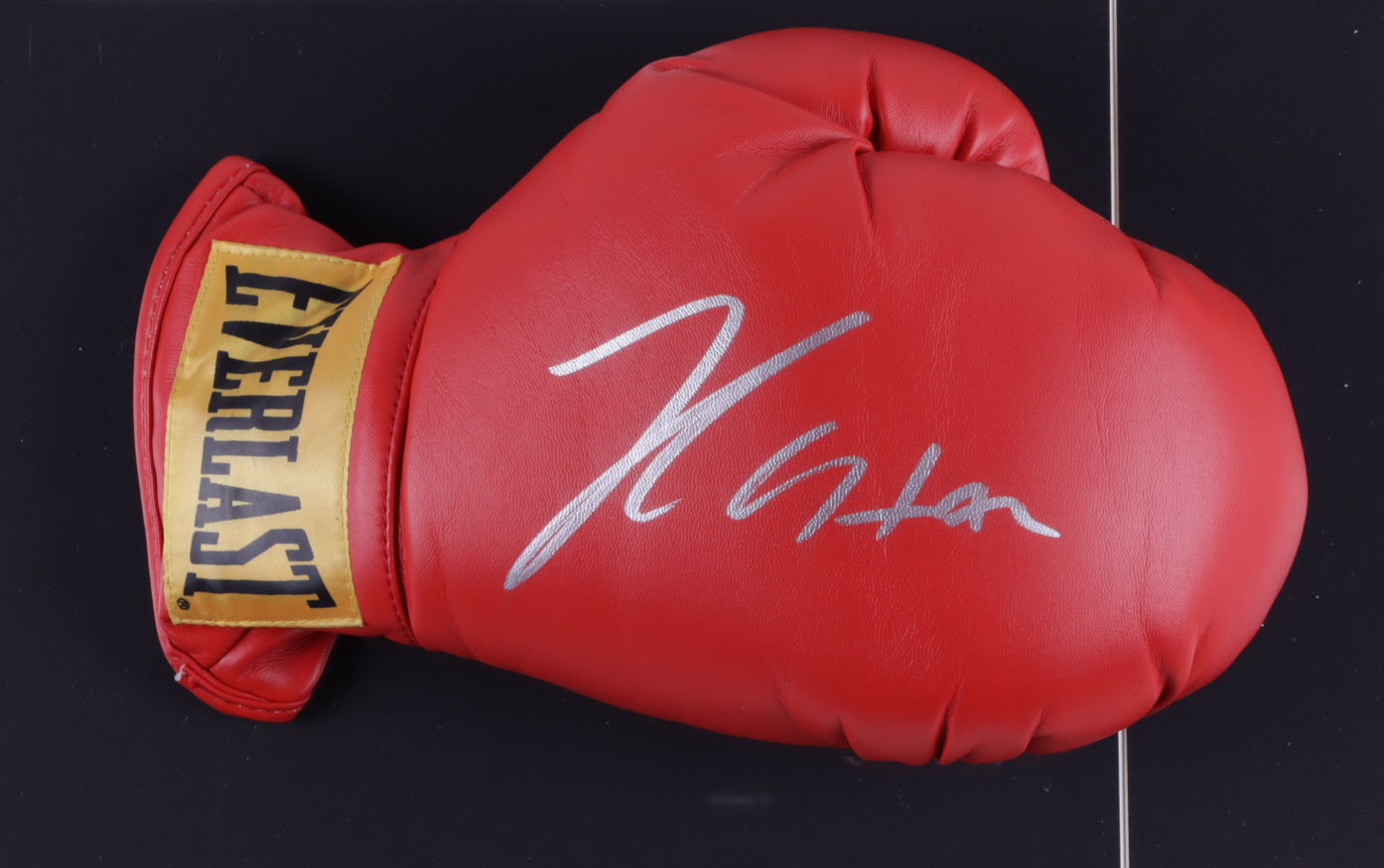 Julio Cesar Chavez Signed 17x22 Custom Framed Boxing Glove Display with 1992 Fight Pin (PSA COA) (See Description) at PristineAuction.com Julio Cesar Chavez Signed 17x22 Custom Framed Boxing Glove Display with 1992 Fight Pin (PSA COA) (See Description) at PristineAuction.com