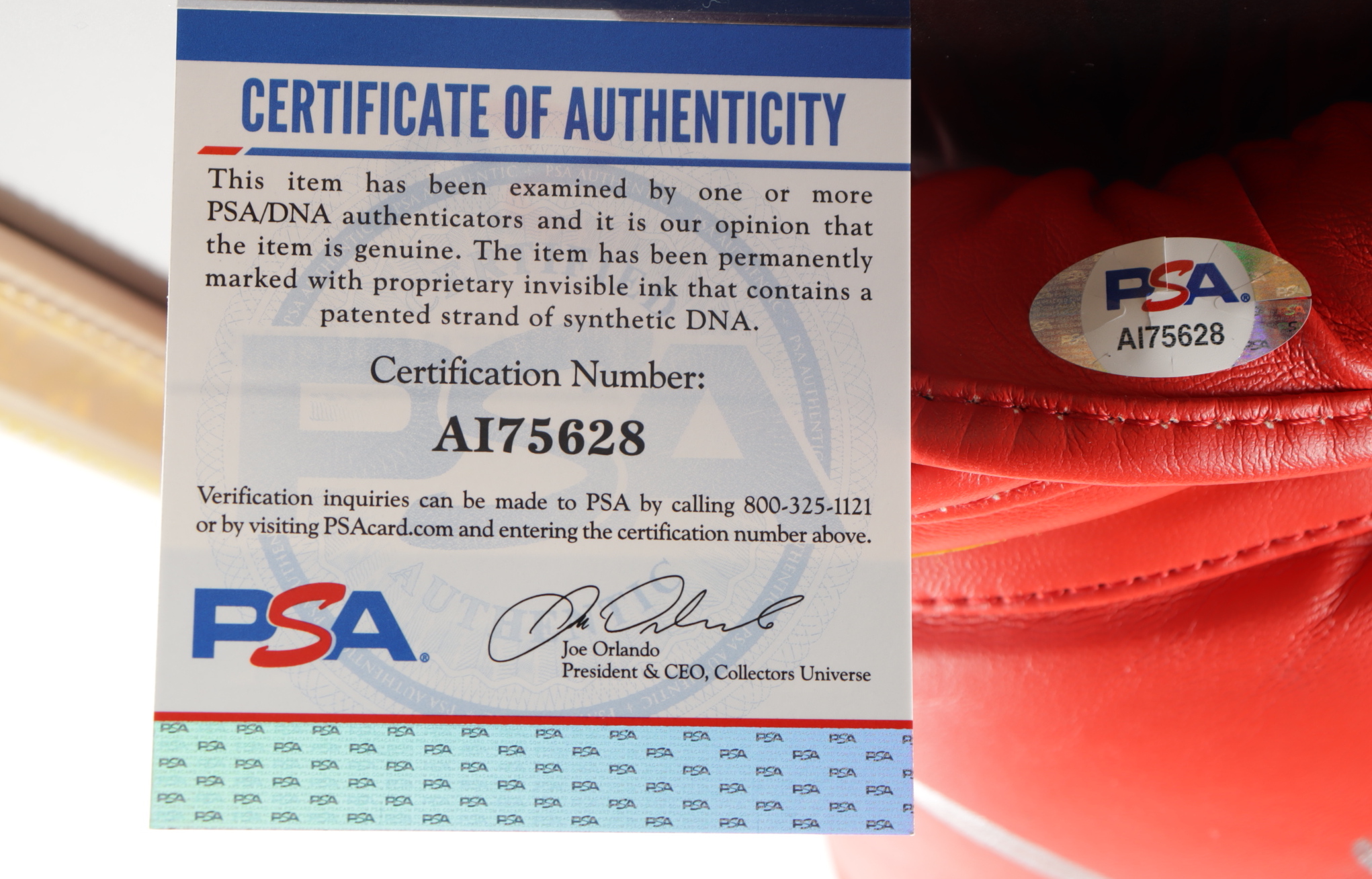 Julio Cesar Chavez Signed 17x22 Custom Framed Boxing Glove Display with 1992 Fight Pin (PSA COA) (See Description) at PristineAuction.com Julio Cesar Chavez Signed 17x22 Custom Framed Boxing Glove Display with 1992 Fight Pin (PSA COA) (See Description) at PristineAuction.com