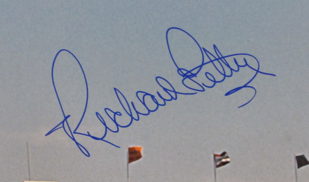 Richard Petty Signed NASCAR 16x20 Photo (JSA COA) at PristineAuction.com Richard Petty Signed NASCAR 16x20 Photo (JSA COA) at PristineAuction.com