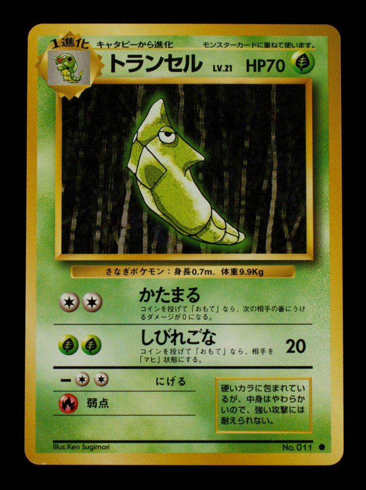 Metapod 1996 Pokemon Base Japanese 11 Pristine Auction