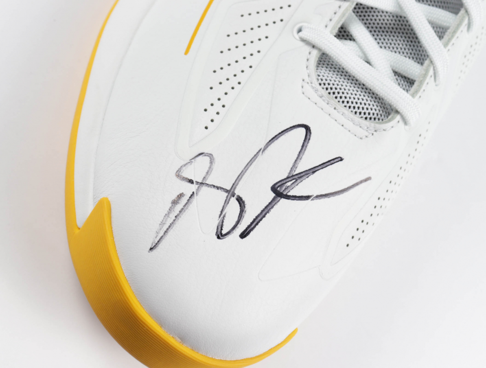 derrick rose signed shoes