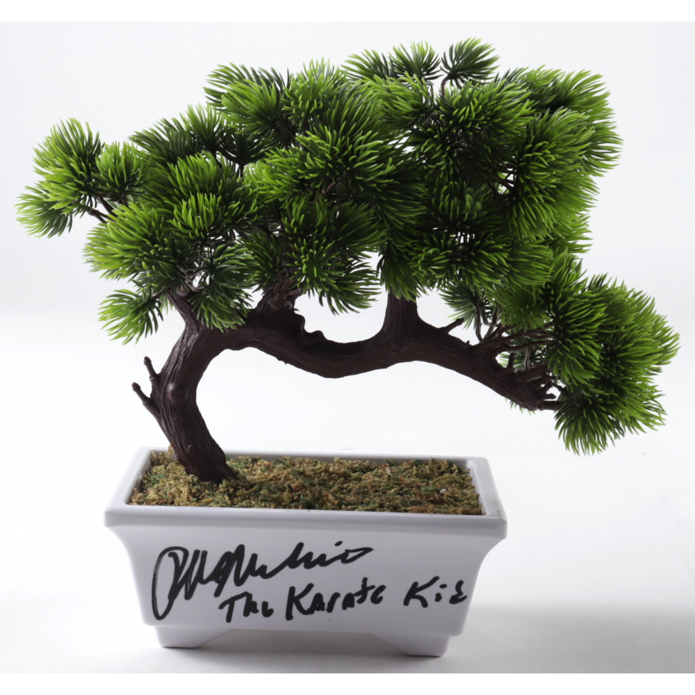 Ralph Macchio Signed "The Karate Kid" Artificial Bonsai Tree Inscribed "The Karate Kid