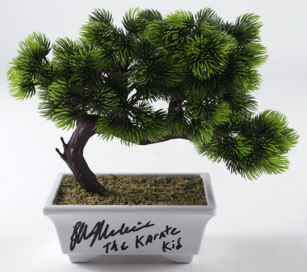 Ralph Macchio Signed "The Karate Kid" Artificial Bonsai Tree Inscribed