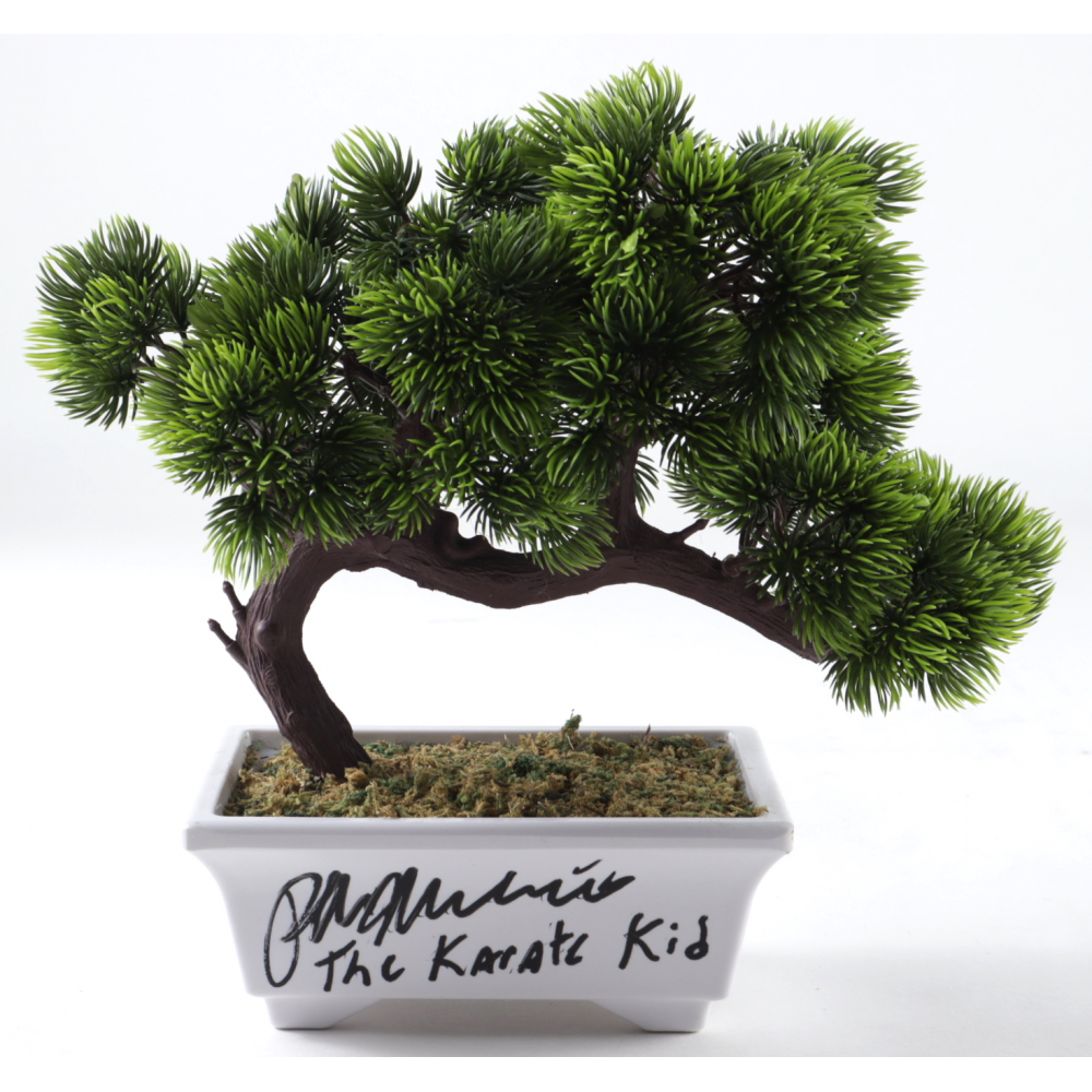 Ralph Macchio Signed "The Karate Kid" Artificial Bonsai Tree Inscribed