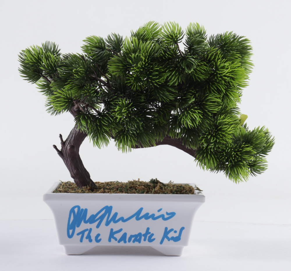 Ralph Macchio Signed "The Karate Kid" Artificial Bonsai Tree Inscribed