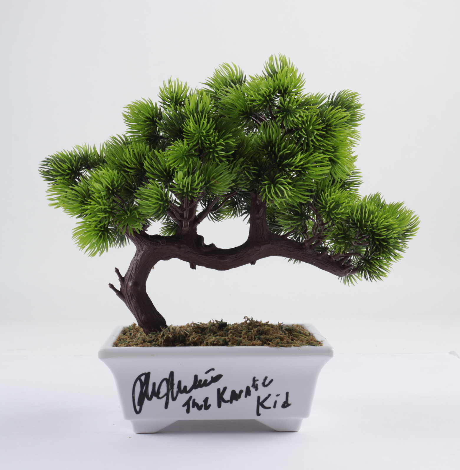 Ralph Macchio Signed "The Karate Kid" Artificial Bonsai Tree Inscribed "The Karate Kid" (AutographCOA COA) (See Description) at PristineAuction.com Ralph Macchio Signed "The Karate Kid" Artificial Bonsai Tree Inscribed "The Karate Kid" (AutographCOA COA) (See Description) at PristineAuction.com