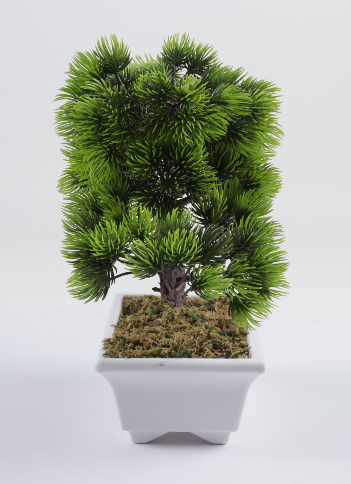 Ralph Macchio Signed "The Karate Kid" Artificial Bonsai Tree Inscribed "The Karate Kid" (AutographCOA COA) (See Description) at PristineAuction.com Ralph Macchio Signed "The Karate Kid" Artificial Bonsai Tree Inscribed "The Karate Kid" (AutographCOA COA) (See Description) at PristineAuction.com