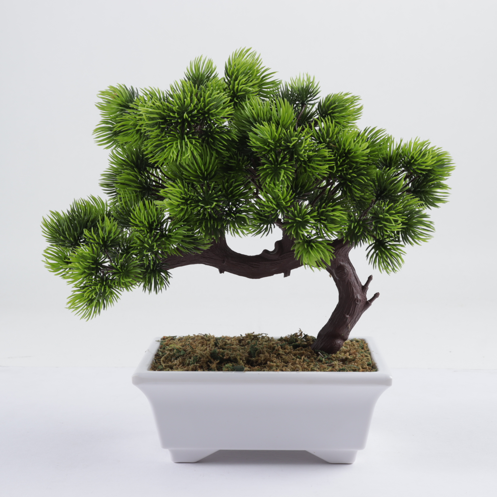 Ralph Macchio Signed "The Karate Kid" Artificial Bonsai Tree Inscribed "The Karate Kid" (AutographCOA COA) (See Description) at PristineAuction.com Ralph Macchio Signed "The Karate Kid" Artificial Bonsai Tree Inscribed "The Karate Kid" (AutographCOA COA) (See Description) at PristineAuction.com