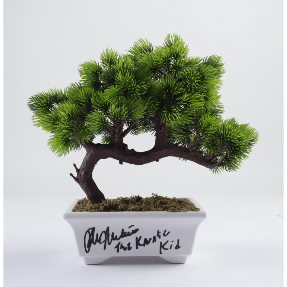 Ralph Macchio Signed "The Karate Kid" Artificial Bonsai Tree Inscribed
