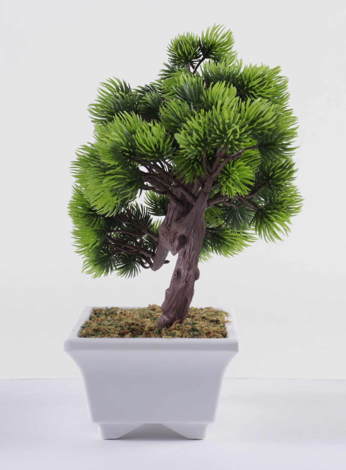 Ralph Macchio Signed "The Karate Kid" Artificial Bonsai Tree Inscribed "The Karate Kid" (AutographCOA COA) at PristineAuction.com Ralph Macchio Signed "The Karate Kid" Artificial Bonsai Tree Inscribed "The Karate Kid" (AutographCOA COA) at PristineAuction.com