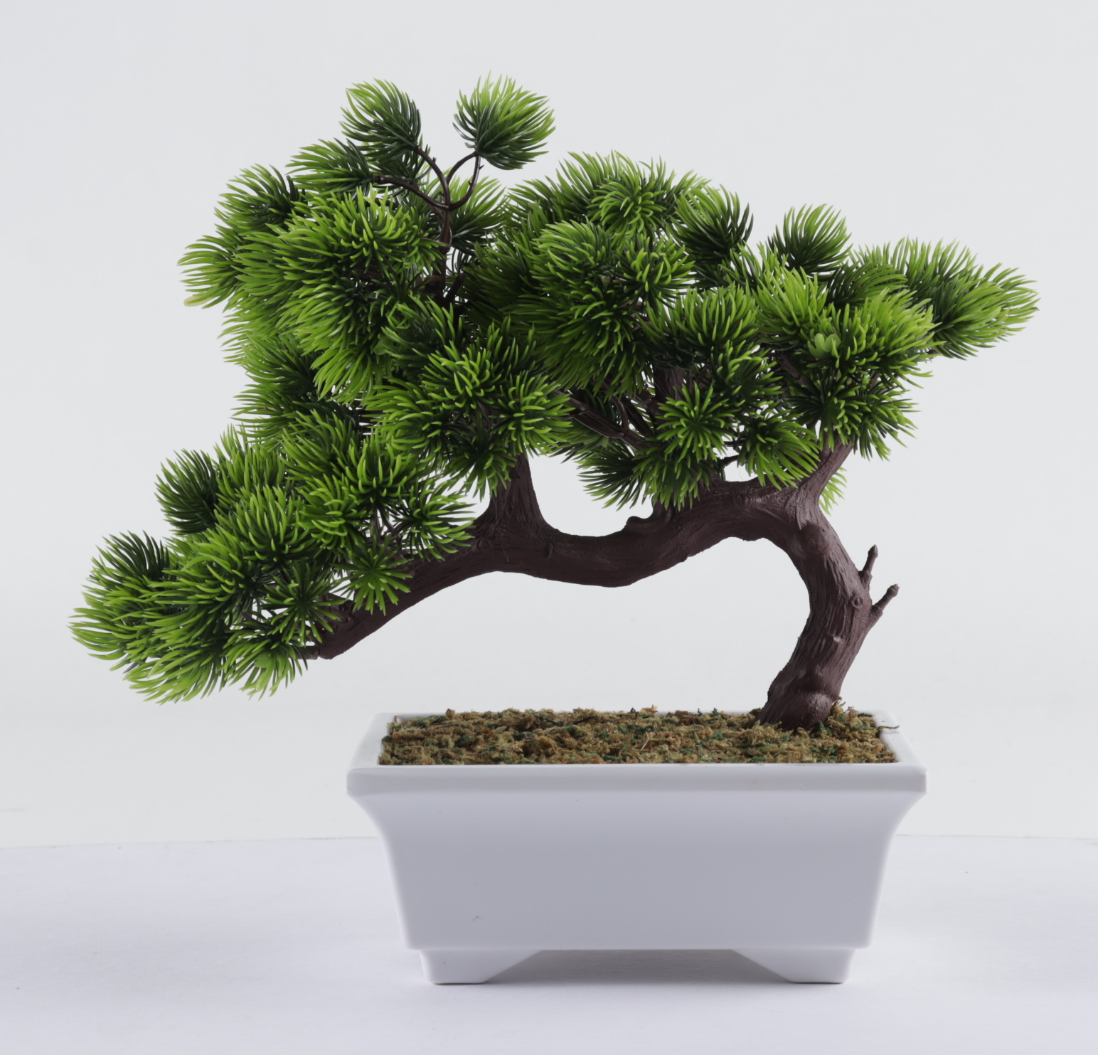 Ralph Macchio Signed "The Karate Kid" Artificial Bonsai Tree Inscribed "The Karate Kid" (AutographCOA COA) at PristineAuction.com Ralph Macchio Signed "The Karate Kid" Artificial Bonsai Tree Inscribed "The Karate Kid" (AutographCOA COA) at PristineAuction.com