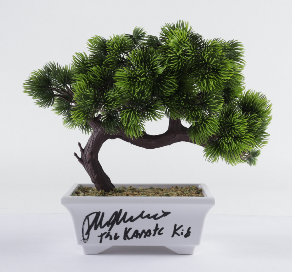 Ralph Macchio Signed "The Karate Kid" Artificial Bonsai Tree Inscribed "The Karate Kid