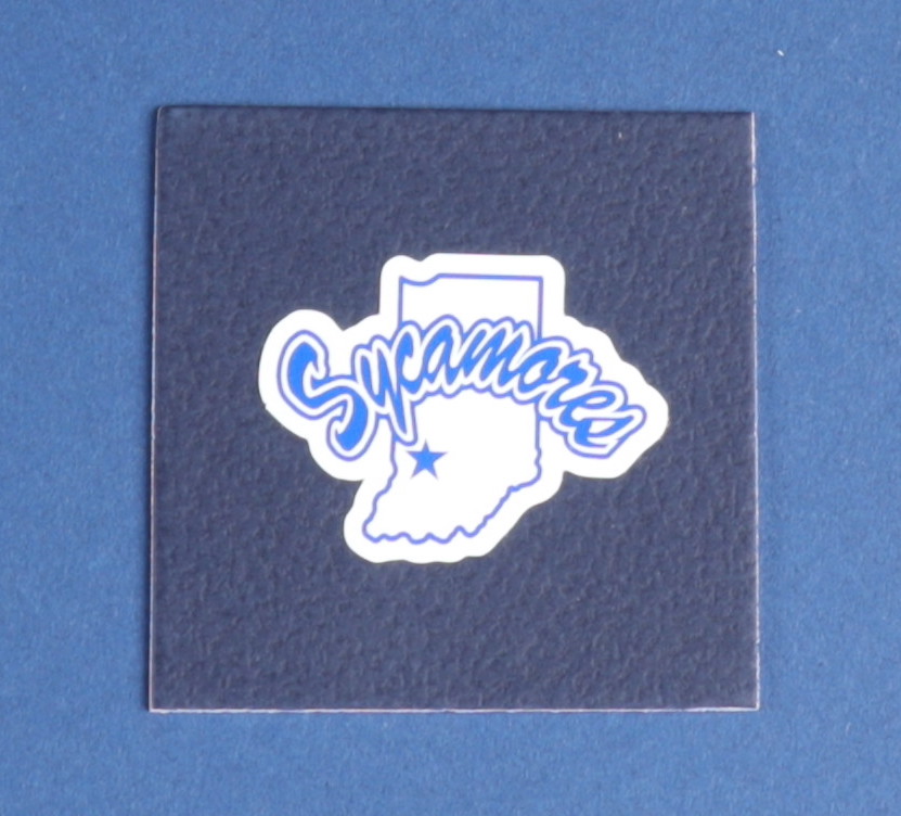 Larry Bird Signed 32x36 Custom Framed Jersey Display with Indiana State Sycamores Pin (PSA Hologram) at PristineAuction.com Larry Bird Signed 32x36 Custom Framed Jersey Display with Indiana State Sycamores Pin (PSA Hologram) at PristineAuction.com