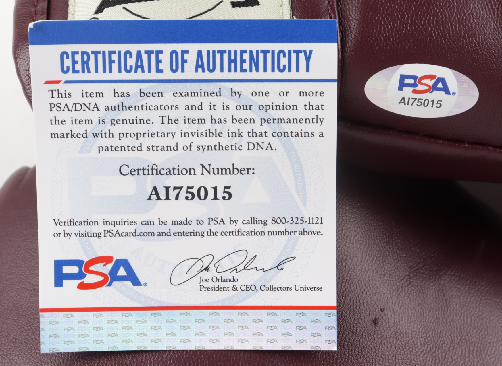 Mike Tyson Signed Pair of Everlast Muhammad Ali Edition Boxing Gloves (PSA COA) at PristineAuction.com Mike Tyson Signed Pair of Everlast Muhammad Ali Edition Boxing Gloves (PSA COA) at PristineAuction.com