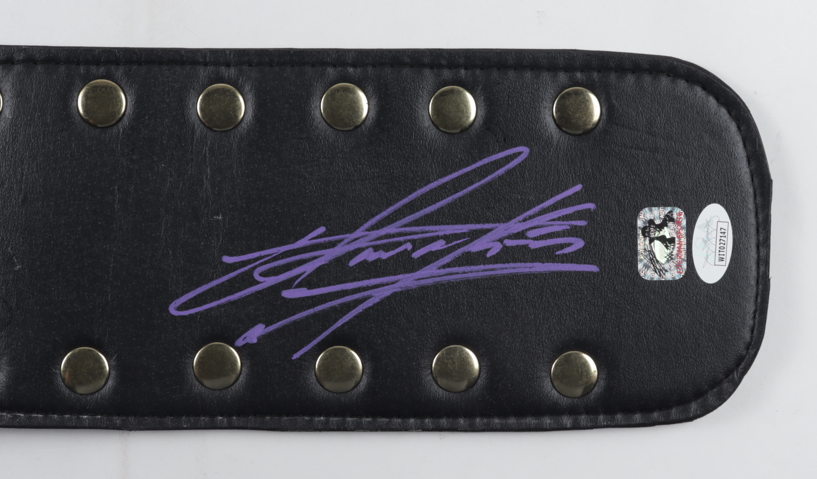 The Undertaker Signed World Heavyweight Wrestling Champion Belt (JSA COA & Fiterman Sports Hologram) at PristineAuction.com The Undertaker Signed World Heavyweight Wrestling Champion Belt (JSA COA & Fiterman Sports Hologram) at PristineAuction.com